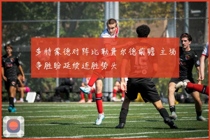 多特蒙德对阵比勒费尔德前瞻 主场争胜盼延续连胜势头