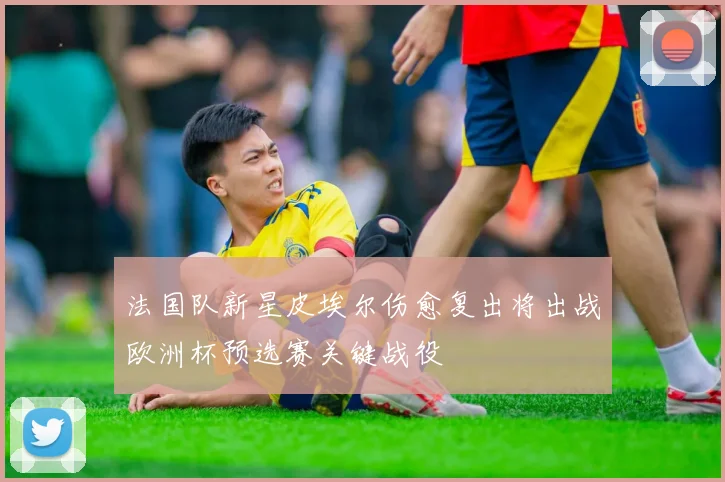 法国队新星皮埃尔伤愈复出将出战欧洲杯预选赛关键战役