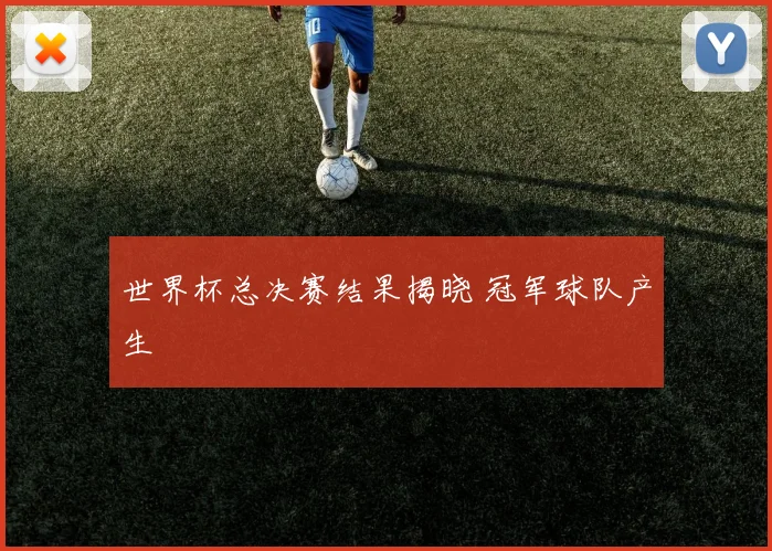 世界杯总决赛结果揭晓 冠军球队产生