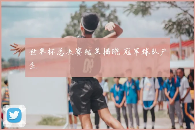世界杯总决赛结果揭晓 冠军球队产生