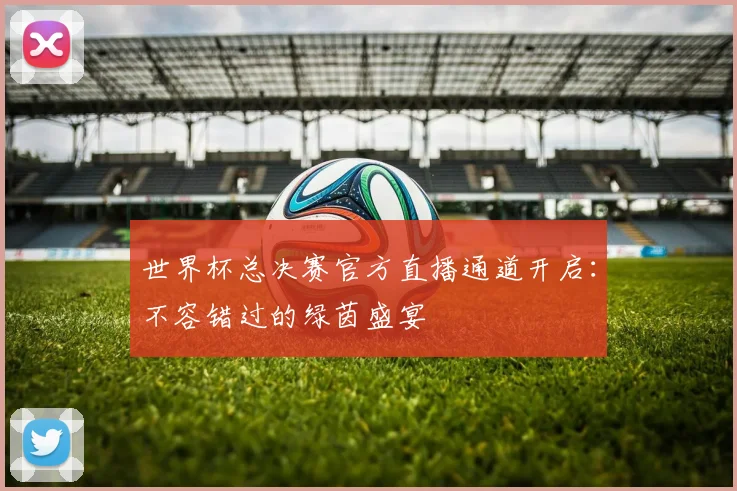 世界杯总决赛官方直播通道开启:不容错过的绿茵盛宴