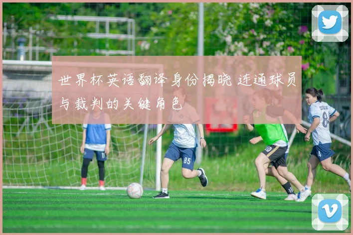 世界杯英语翻译身份揭晓 连通球员与裁判的关键角色
